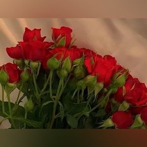 Scented 12 Rose Set Faux RED HYDRANGEA Flowers Green Stems 24" NEW